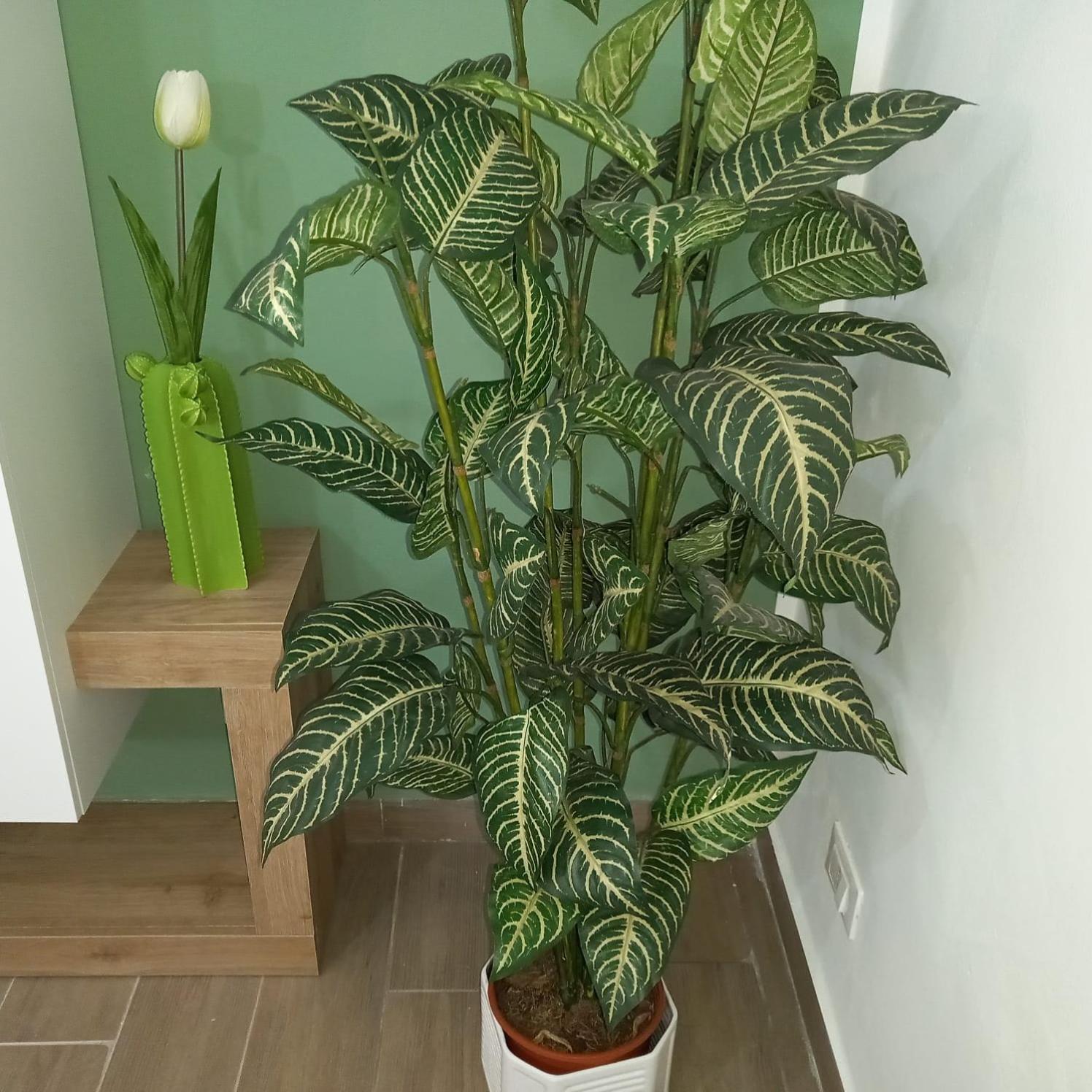 A Casa Di Lori Apartment Палермо Екстериор снимка