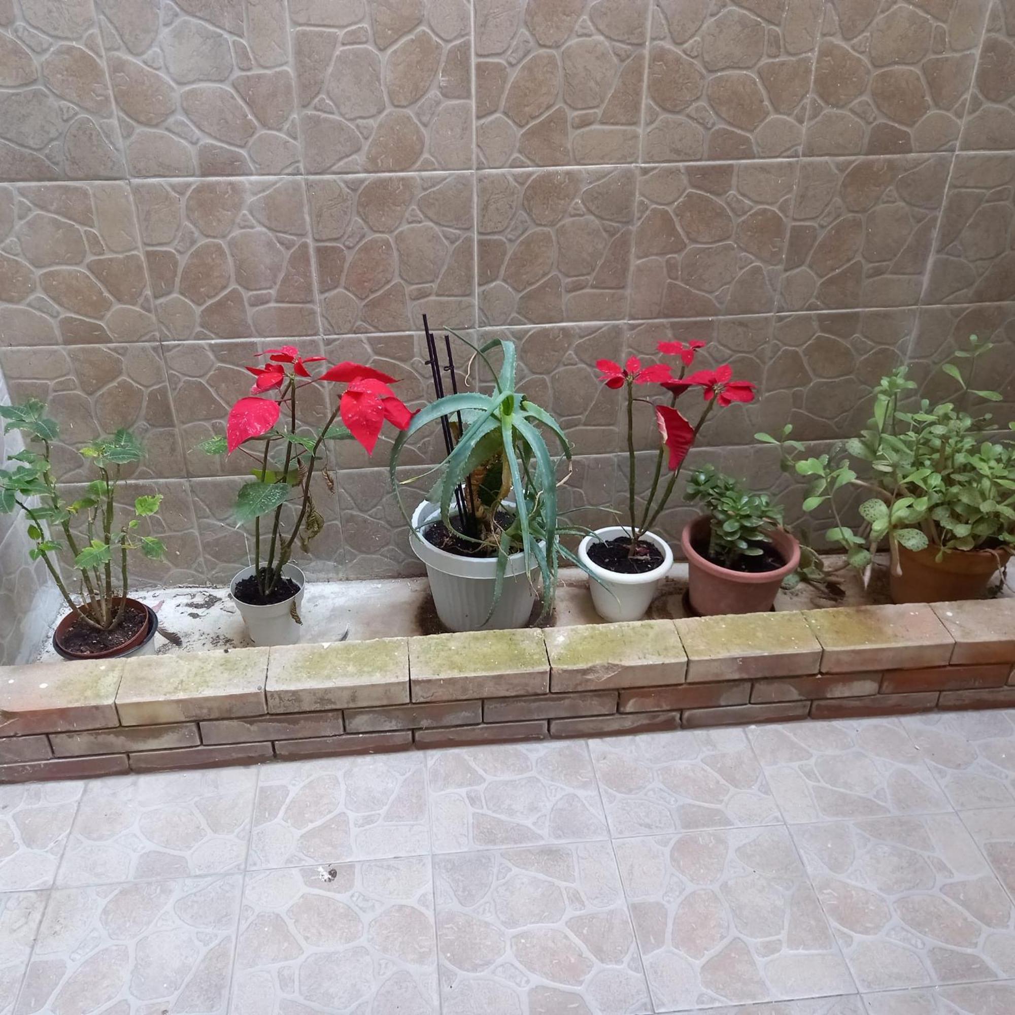 A Casa Di Lori Apartment Палермо Екстериор снимка